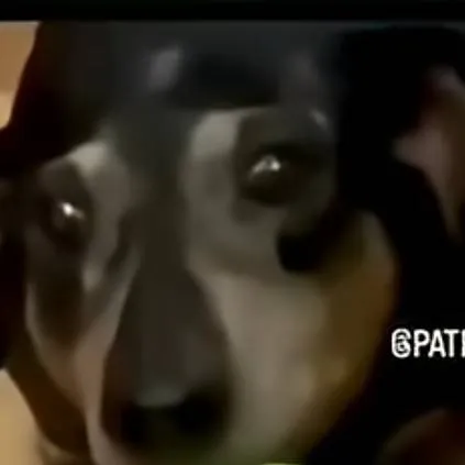 chat with ai character: forsaken sleepover