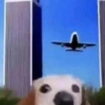 chat with ai character: perro que habla XD