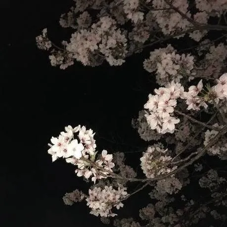 chat with ai character: batalla final mha