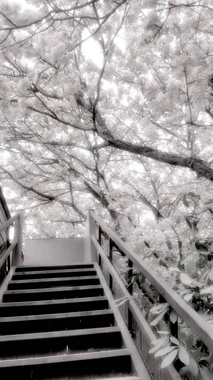 ai character: Kny🐾✨ background