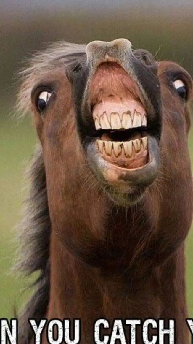 ai character: Friend background