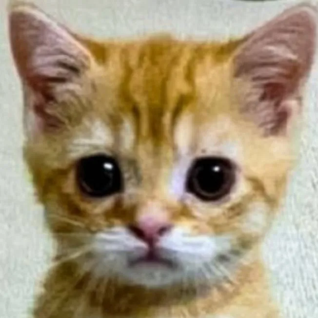 chat with ai character: Kitty (Happy)