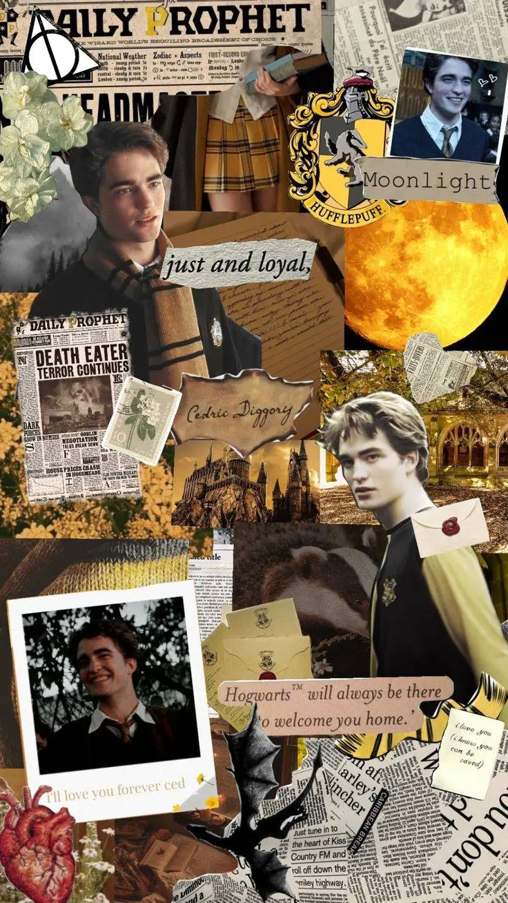 Talkie AI - Chat with Cedric Diggory 