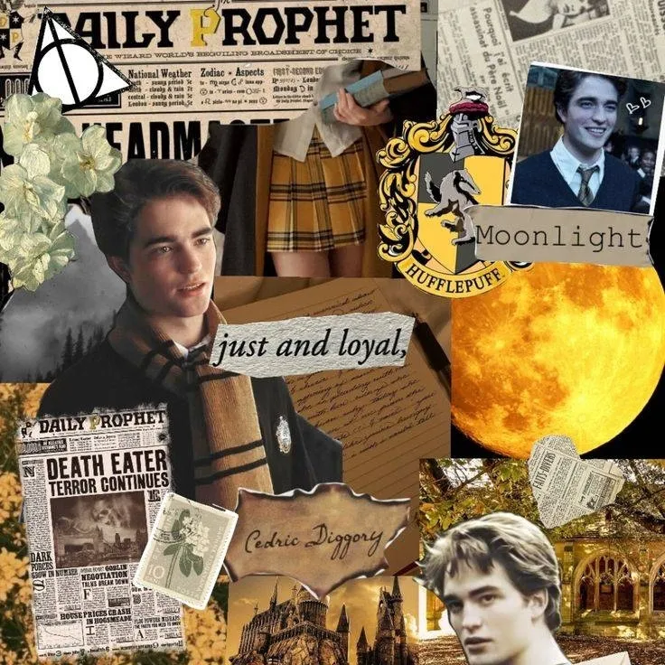 chat with ai character: Cedric Diggory 