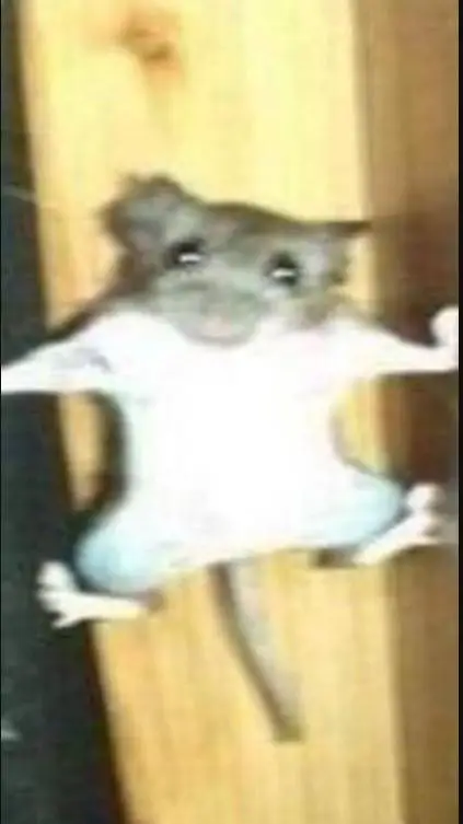 ai character: sprunki love u 💕 background