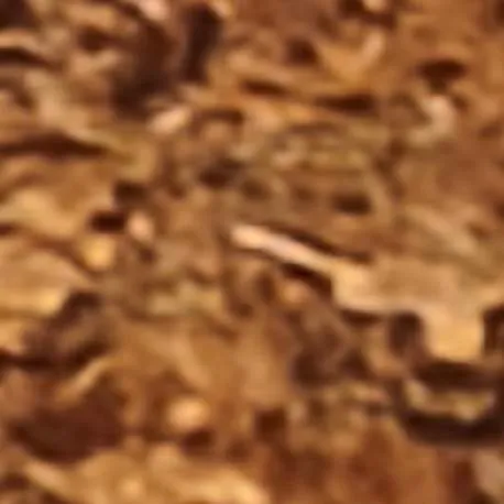 chat with ai character: dw girl 