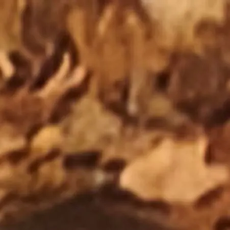 chat with ai character: pebble