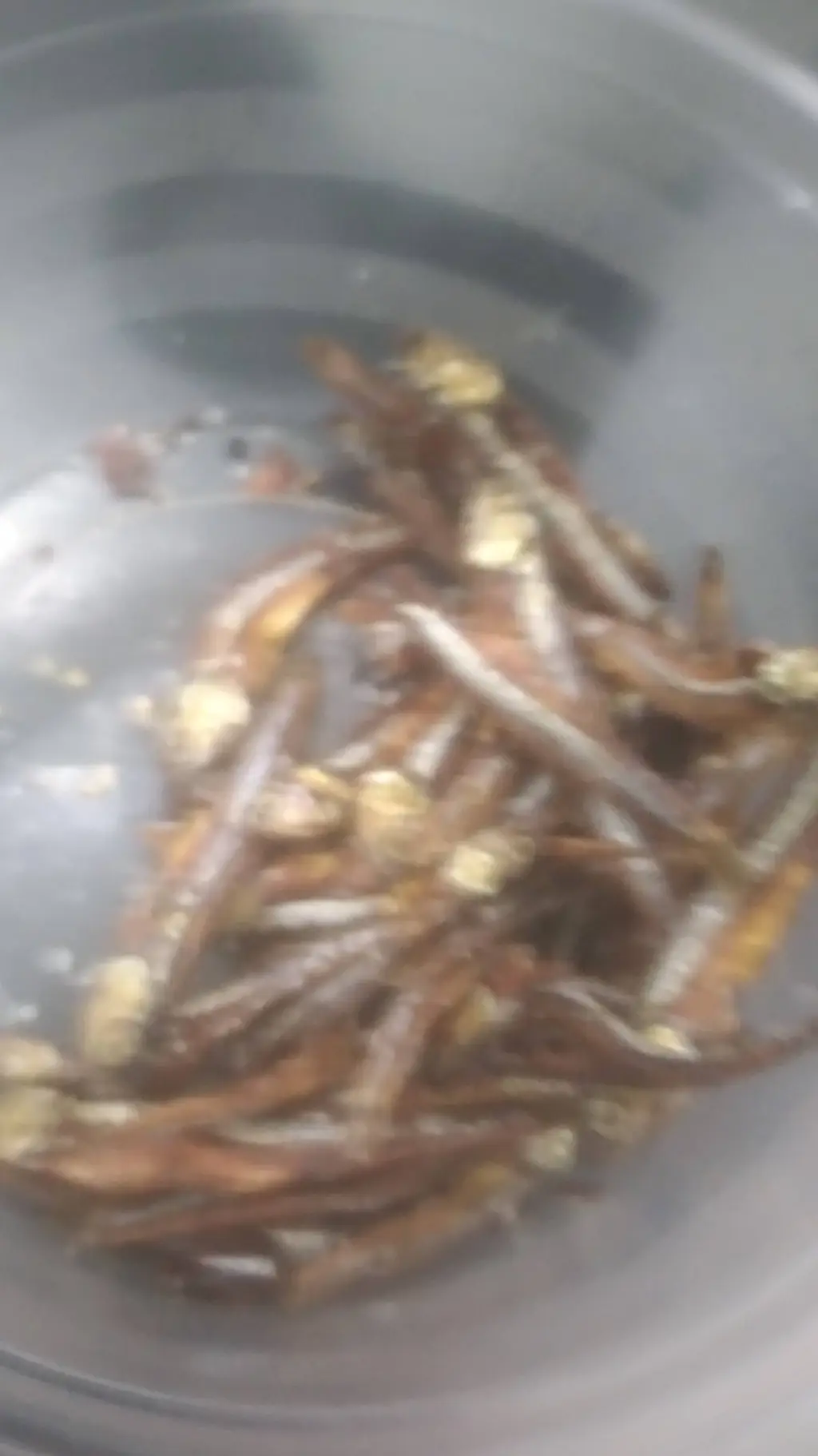 ai character: all fish background