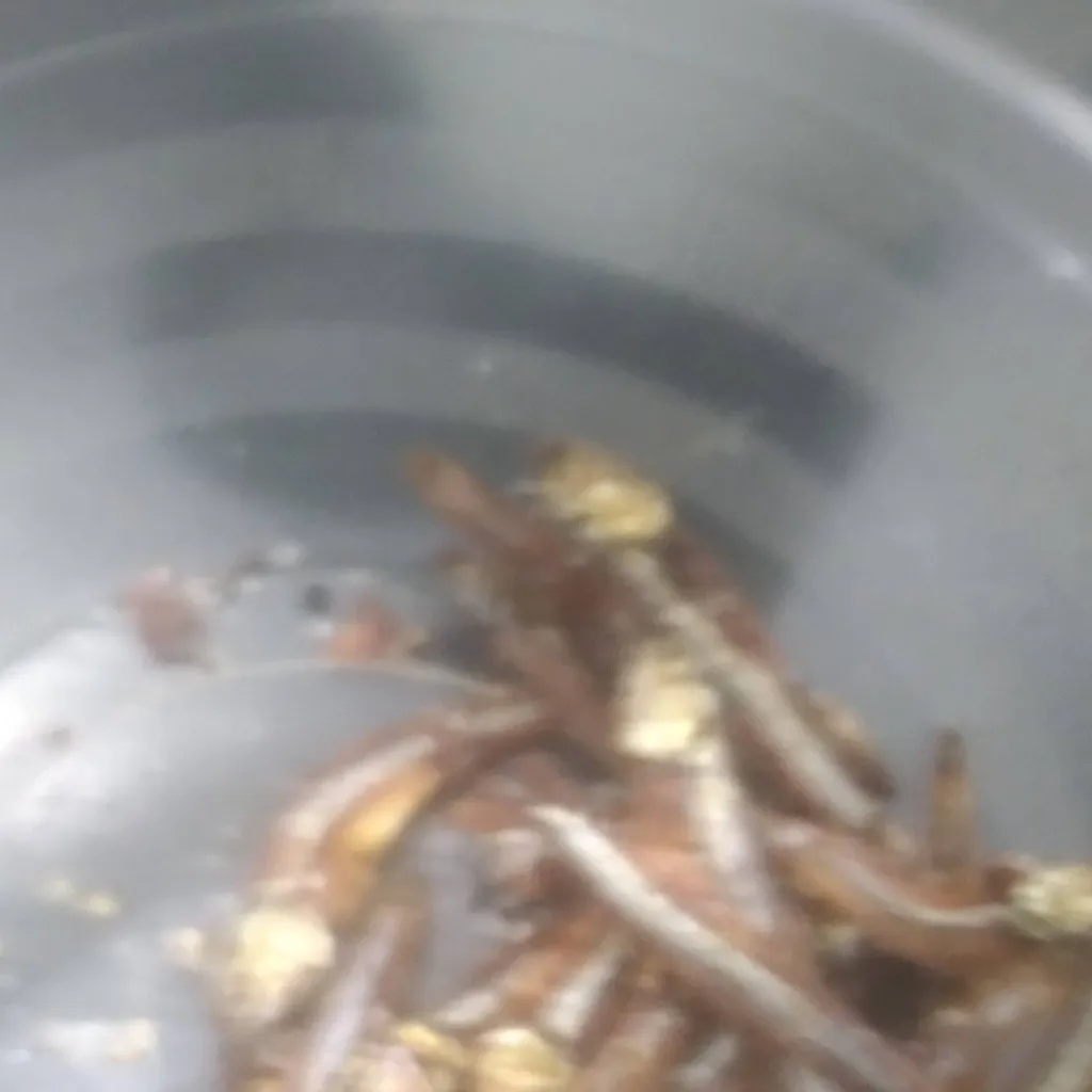 chat with ai character: all fish