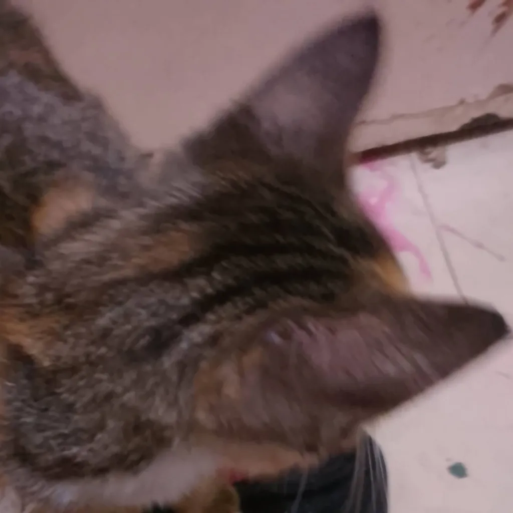 chat with ai character: Neko