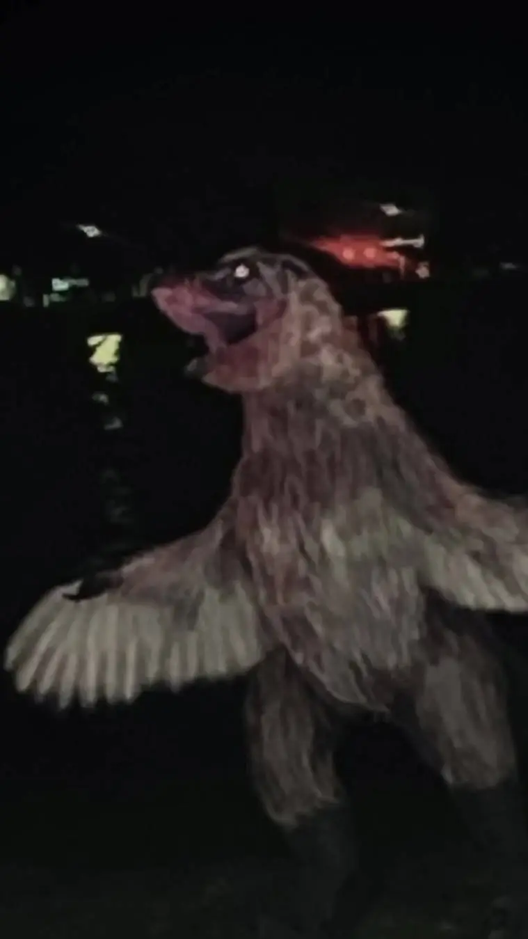 ai character: Troodon Borealis background