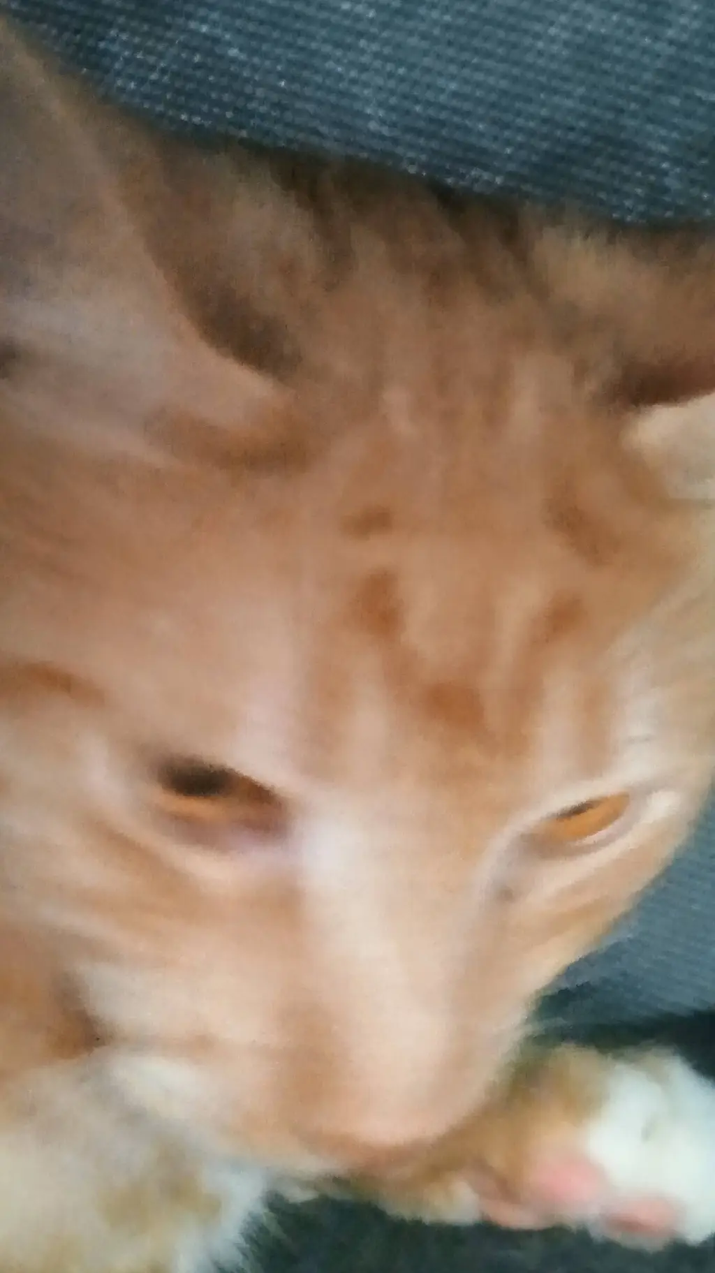 ai character: Forsaken background