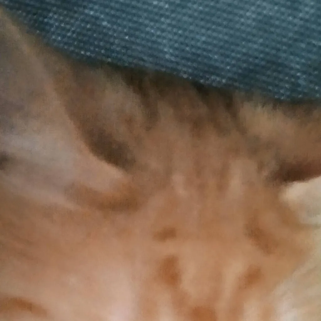 chat with ai character: Forsaken