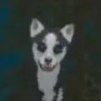 chat with ai character: Priver