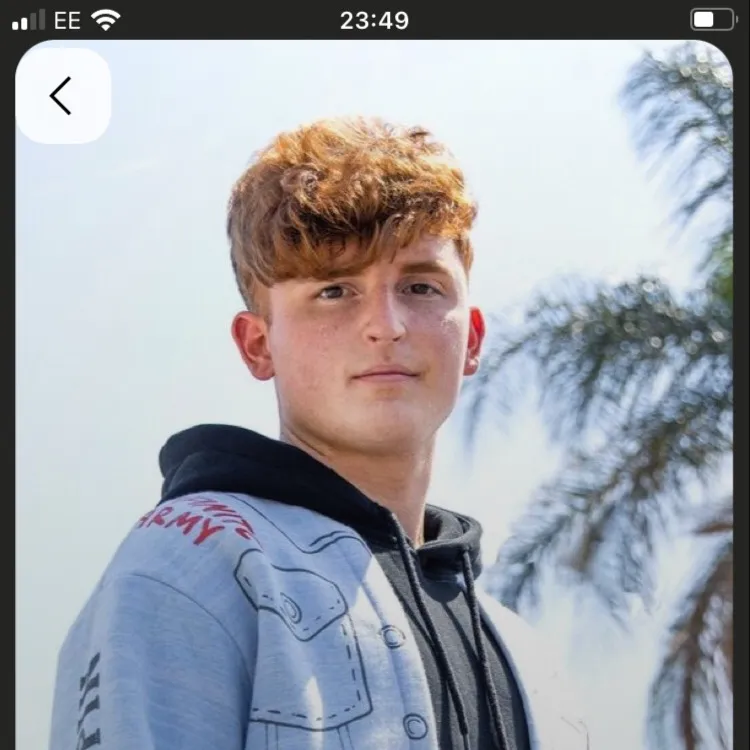 chat with ai character: Caylus 