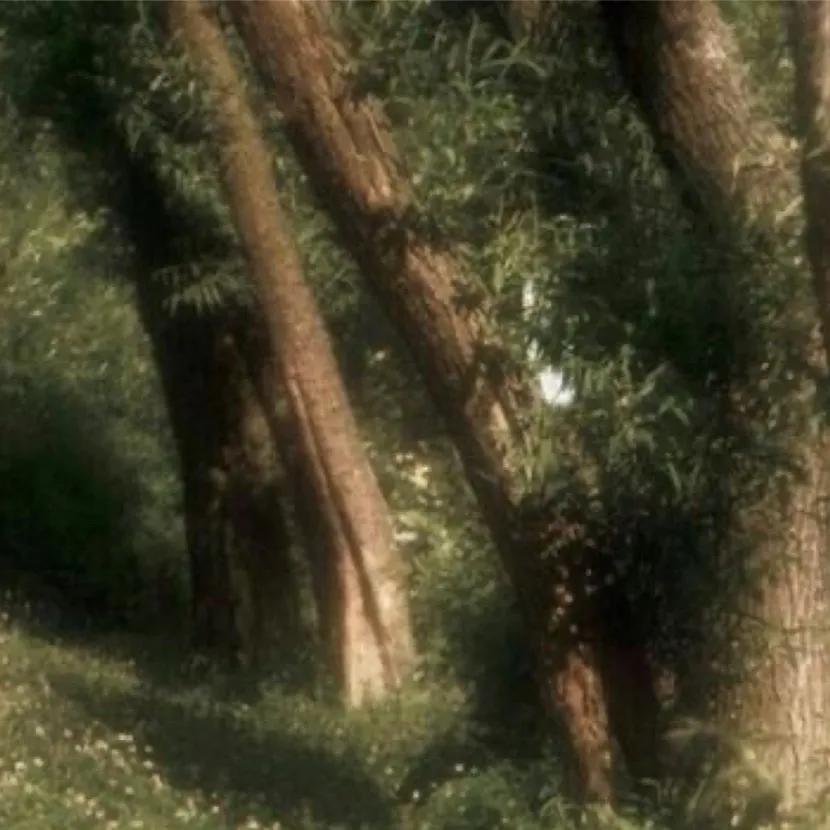 chat with ai character: Just talk