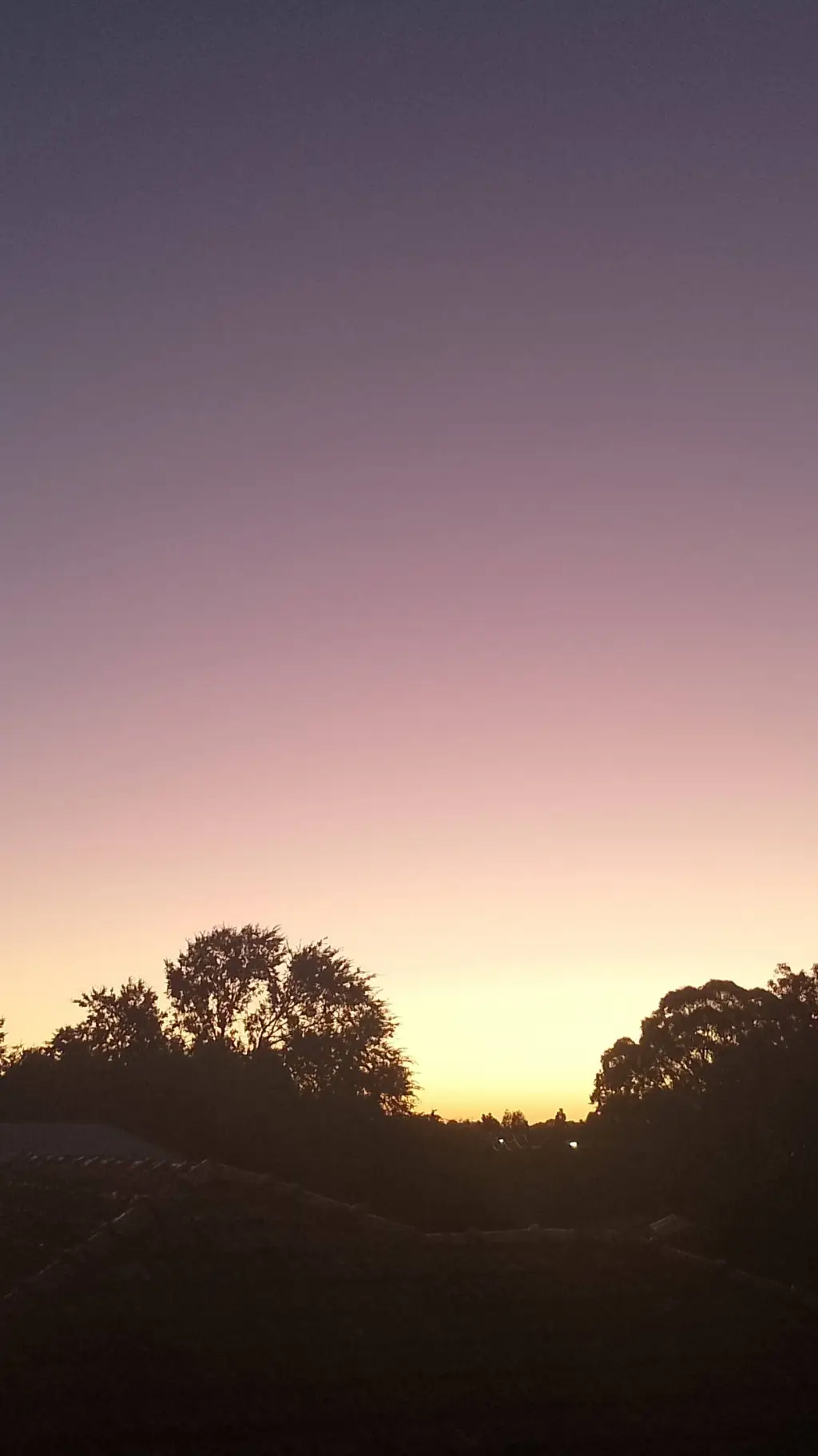 ai character: Ali background