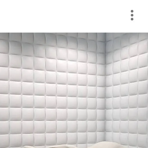 chat with ai character: roblox mental hos.