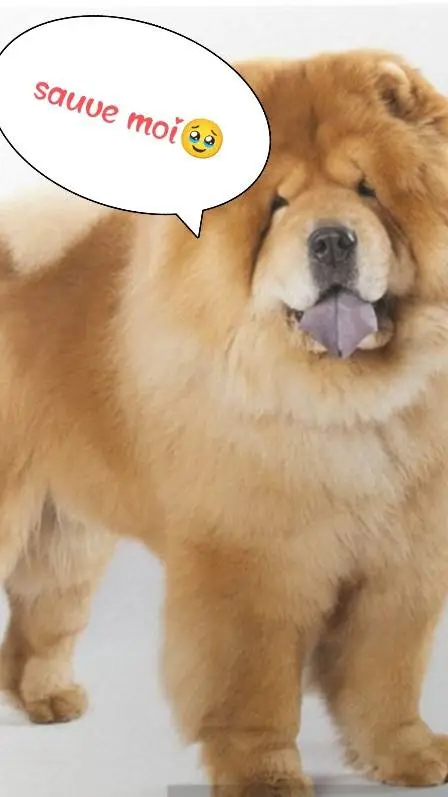 ai character: mha  background