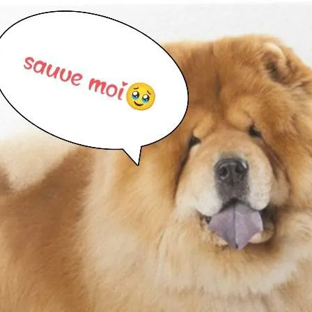 chat with ai character: mha 