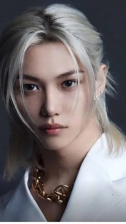 ai character: stray kids  background