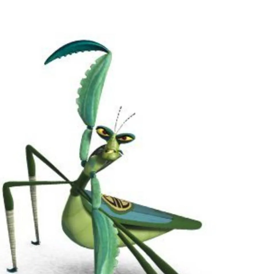 chat with ai character: Maestro mantis