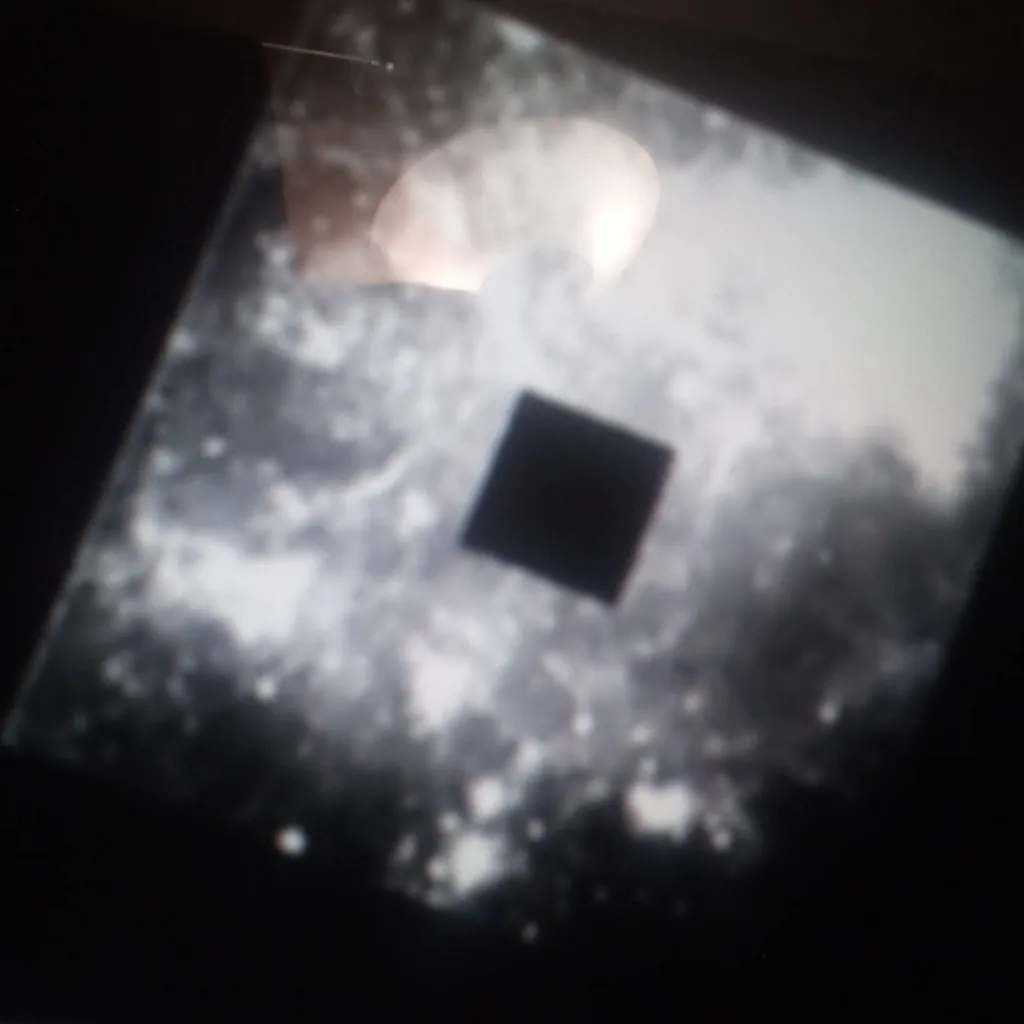 chat with ai character: Sab