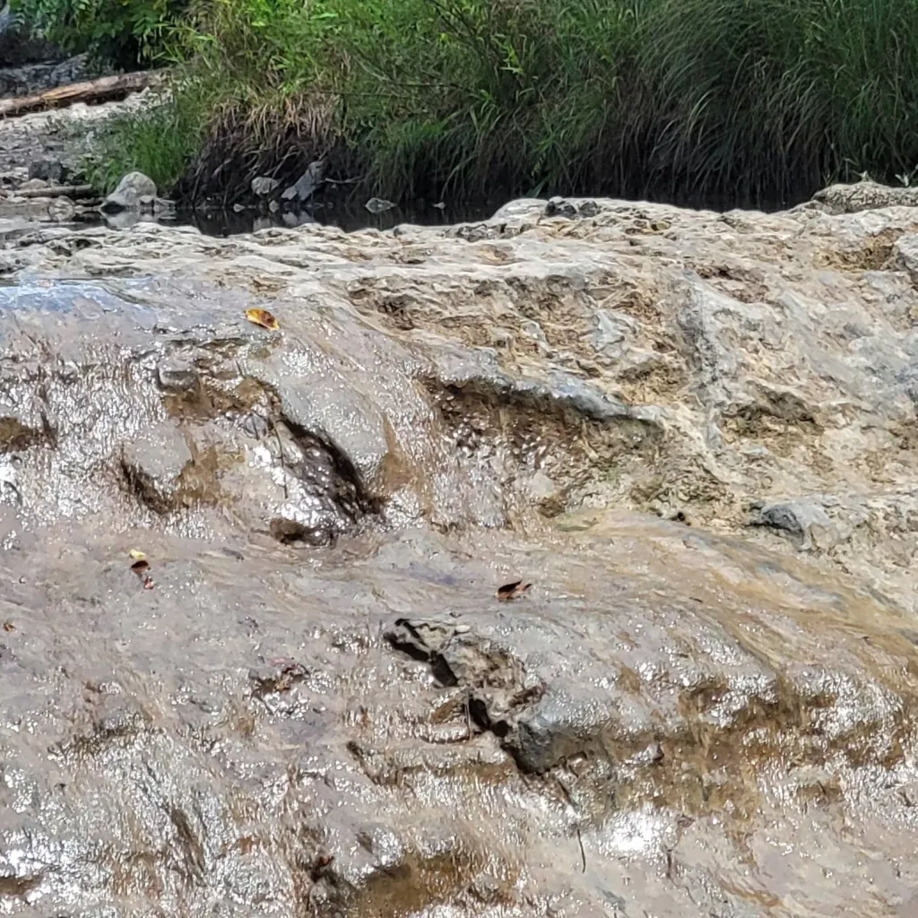 chat with ai character: safe talking space