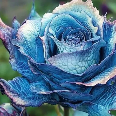 chat with ai character: dekuXyou