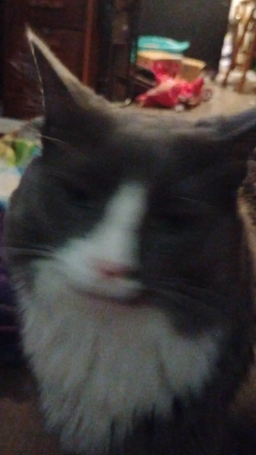 ai character: silver  background