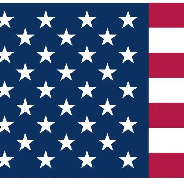 chat with ai character: USA