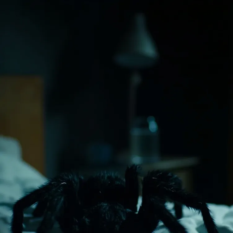 chat with ai character: Spider