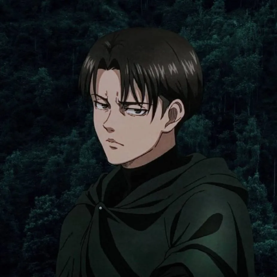 chat with ai character: levi (aot version)