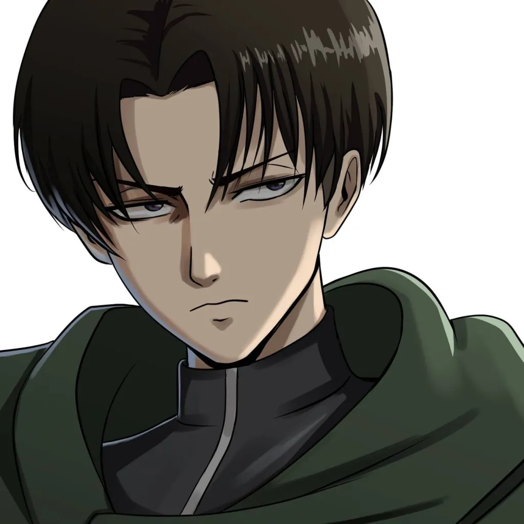 chat with ai character: Levi Ackerman 