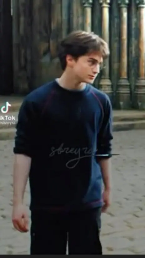 ai character: HARRY POTTER background