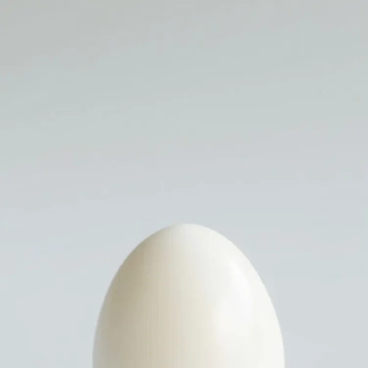 chat with ai character: eat it or save it