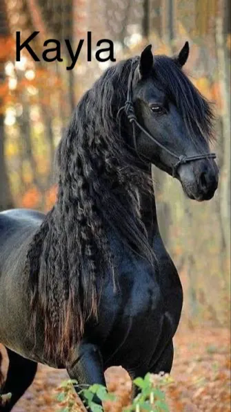 ai character: ✨Star stable🐴 background