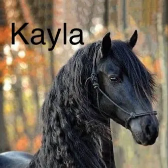 chat with ai character: ✨Star stable🐴