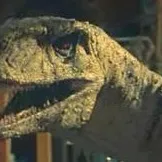 chat with ai character: 💀ghost☠️