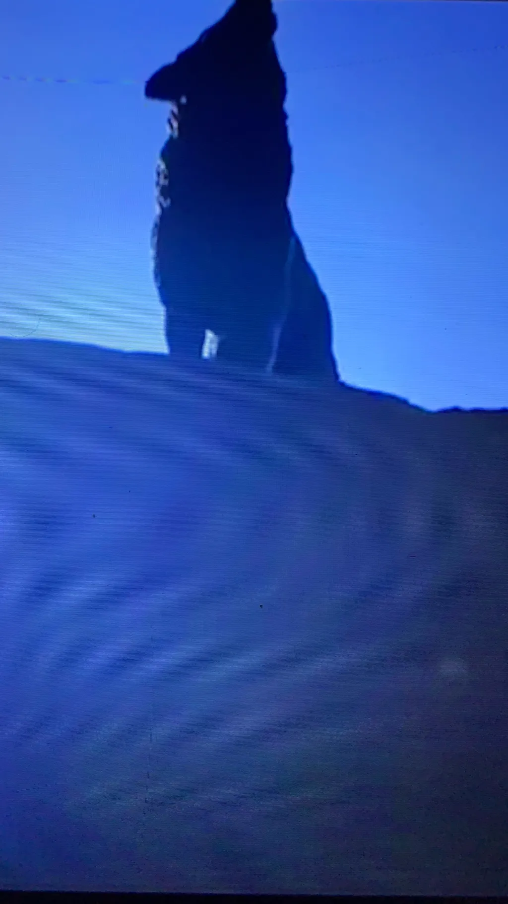 ai character: Alpha Wolf life  background