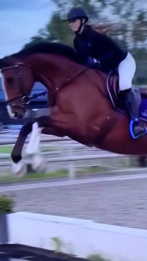 ai character: Chloe background