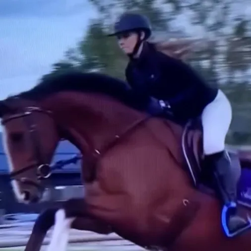 chat with ai character: Chloe