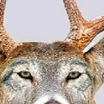 chat with ai character: name in descriptio