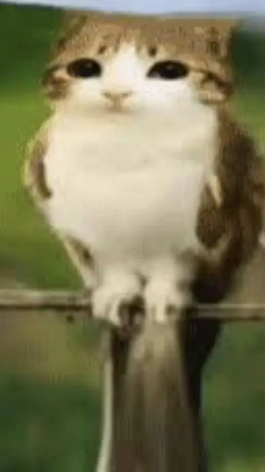 ai character: brainrot roleplay background