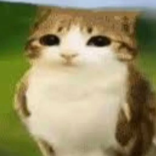 chat with ai character: brainrot roleplay