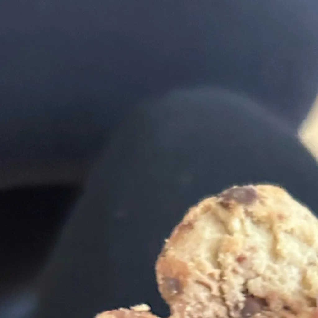 chat with ai character: COOKIE