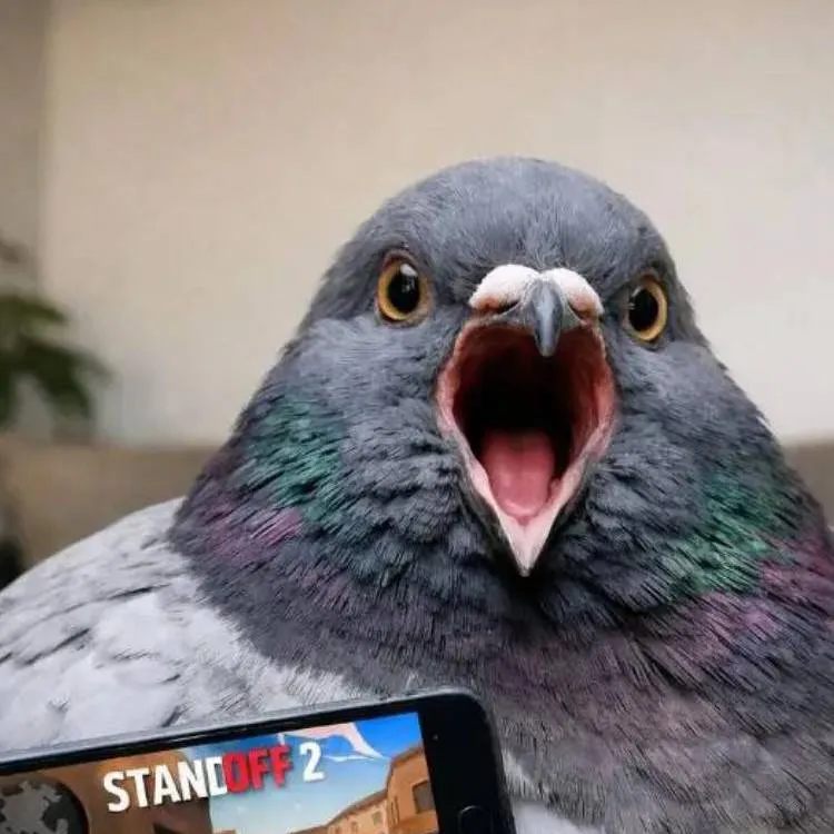 chat with ai character: голубь