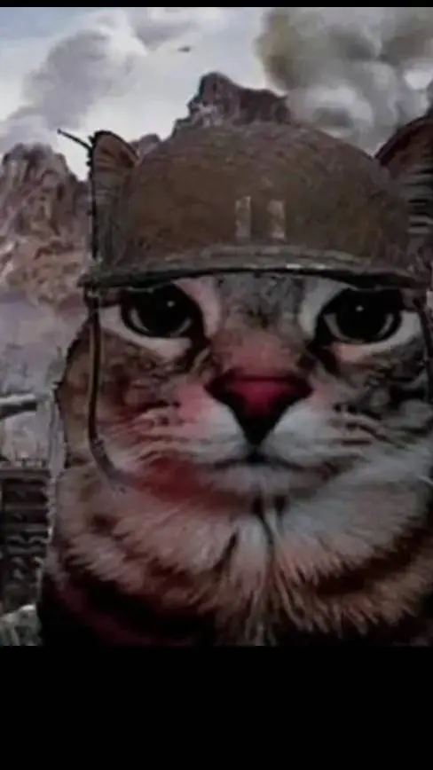 ai character: аверис background