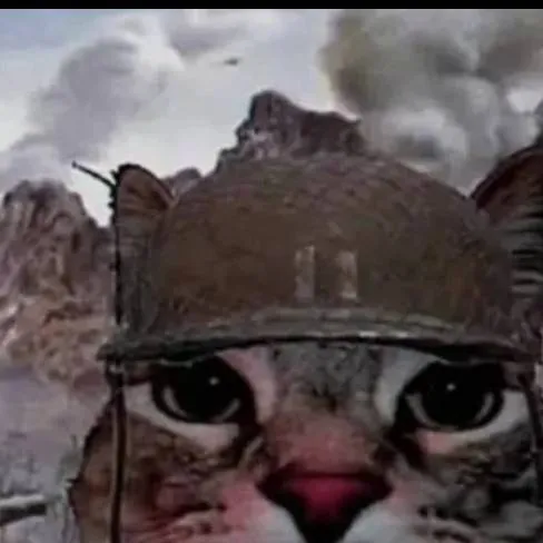 chat with ai character: аверис