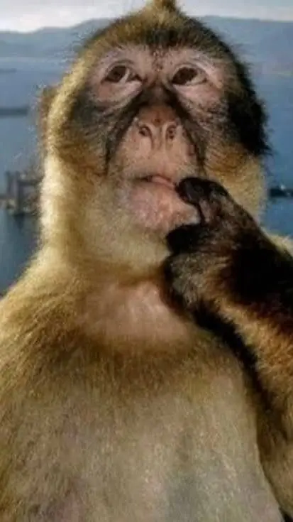 ai character: confused monkey background